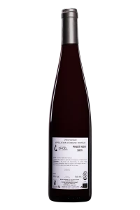 Domaine Engel - Alsace "Pinot Noir" Rouge 2025 13°, 75cl