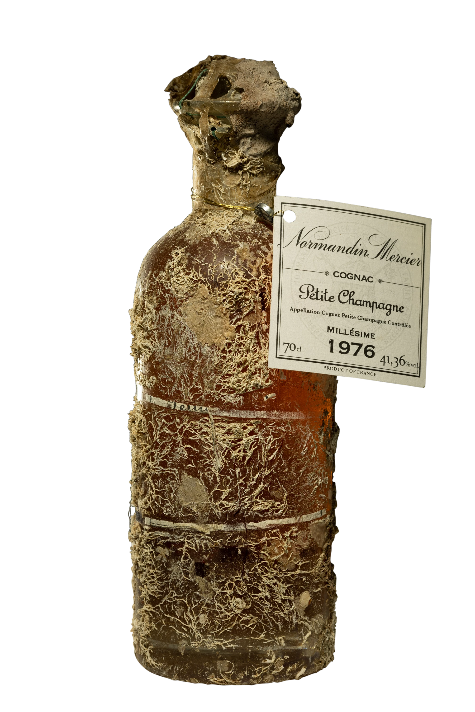 Normandin-Mercier - Cognac Petite Champagne "Immergé 1 Ans" Brun 1976 41.36°, 70cl