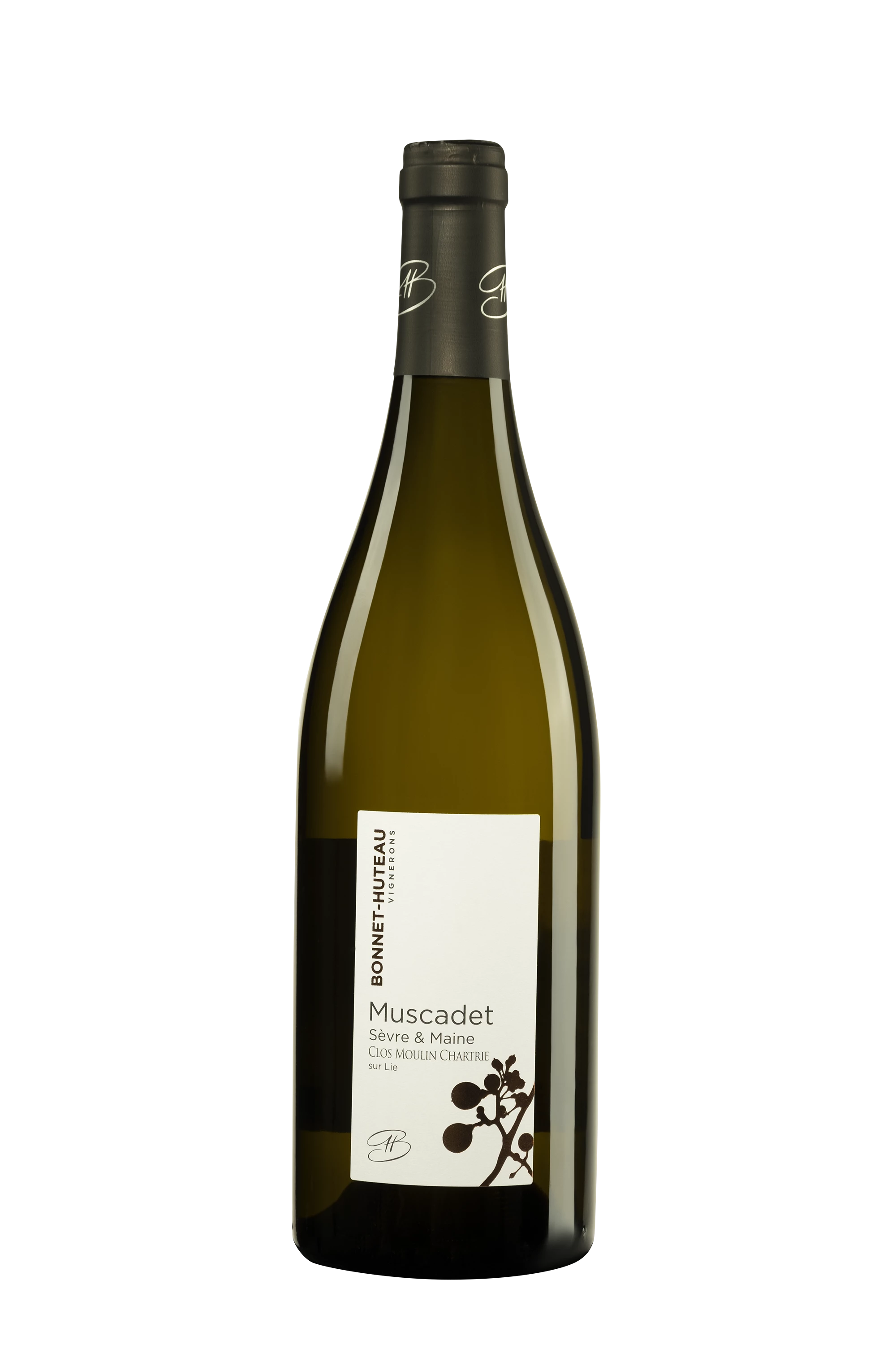 Domaine Bonnet Huteau - Muscadet Sèvre et Maine "Clos Moulin Chartrie" Blanc 2018, 75cl