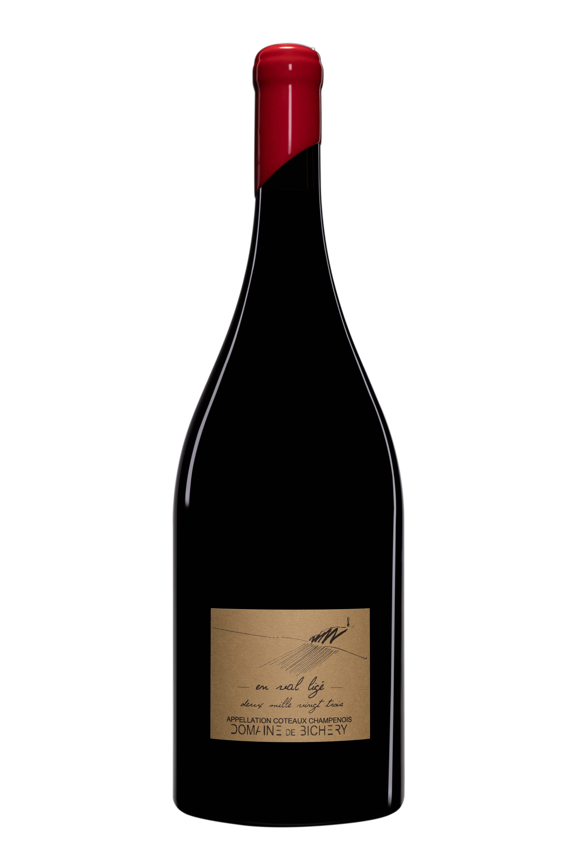 Domaine de Bichery - Coteaux Champenois "En Val Ligé" Rouge 2023 12.5°, 150cl