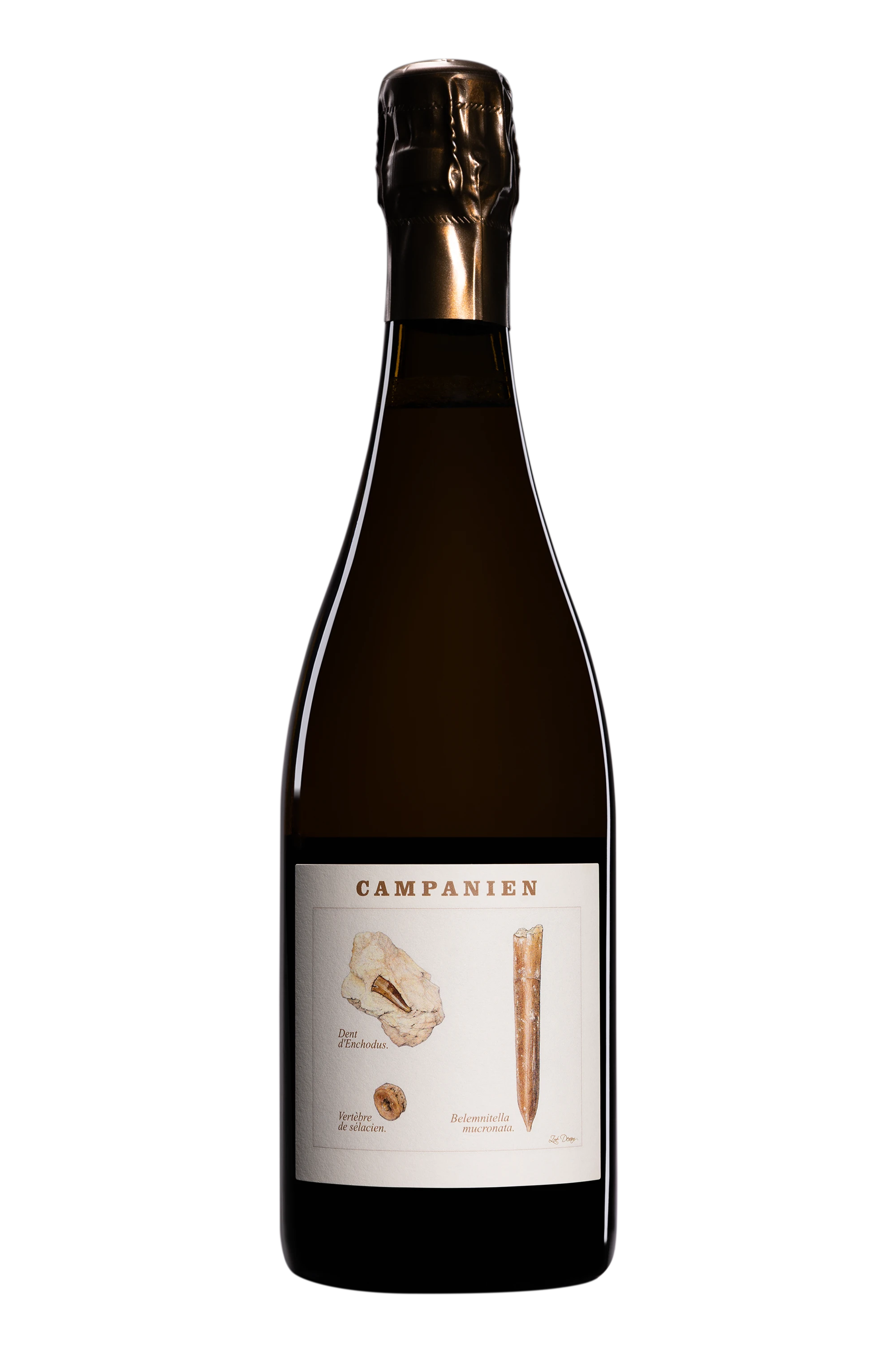 Domaine Legrand Latour - Champagne Brut Nature Blanc de Noirs "Campanien" Blanc Vendange 2020 Dégorgement Jan. 2026 11.5°, 75cl