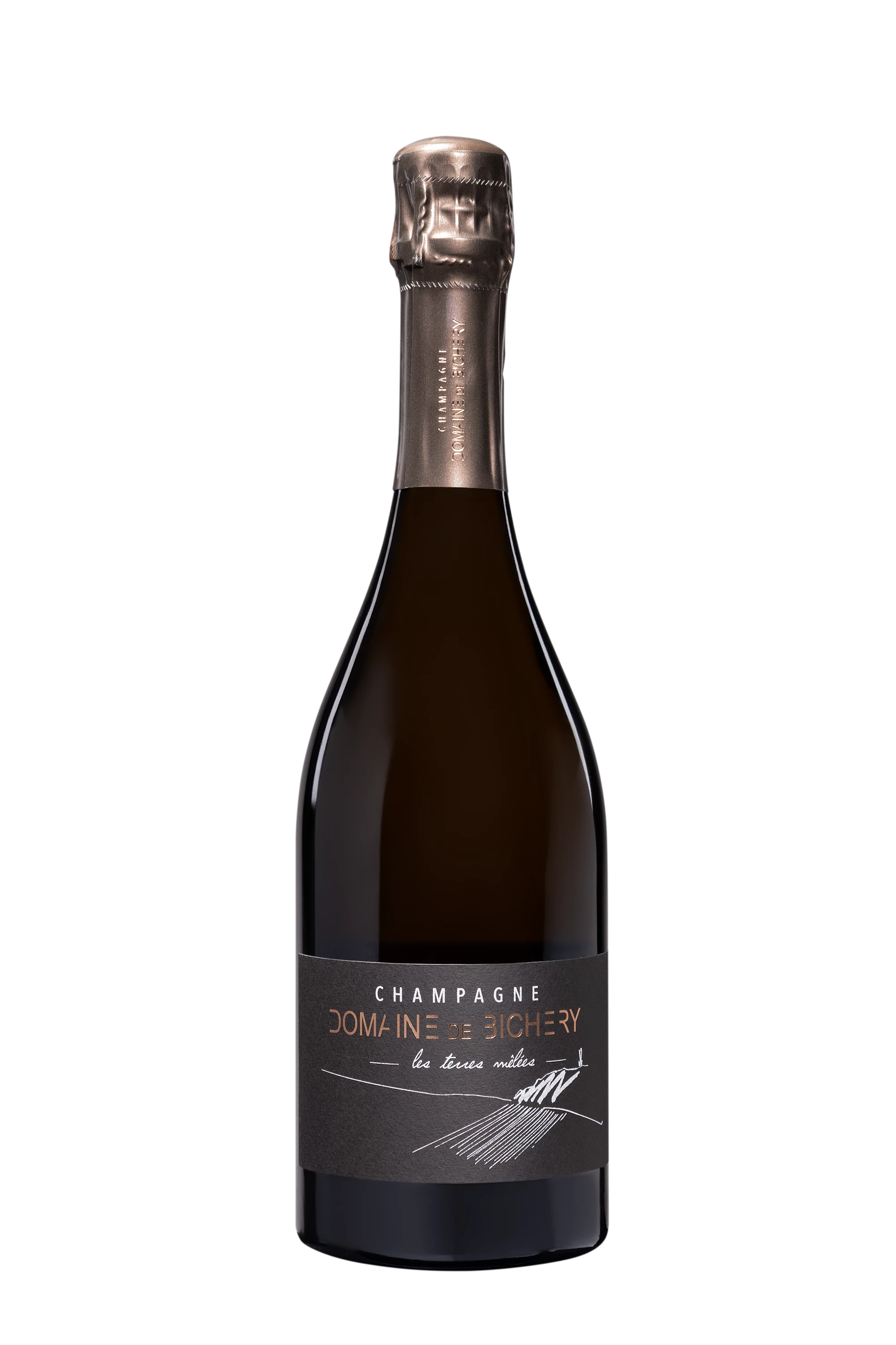 Domaine de Bichery - Champagne Brut Nature Blanc de Noirs "Les Terres Mêlées" Blanc Vendange 2020 Dégorgement 04.2023 12.5°, 75cl