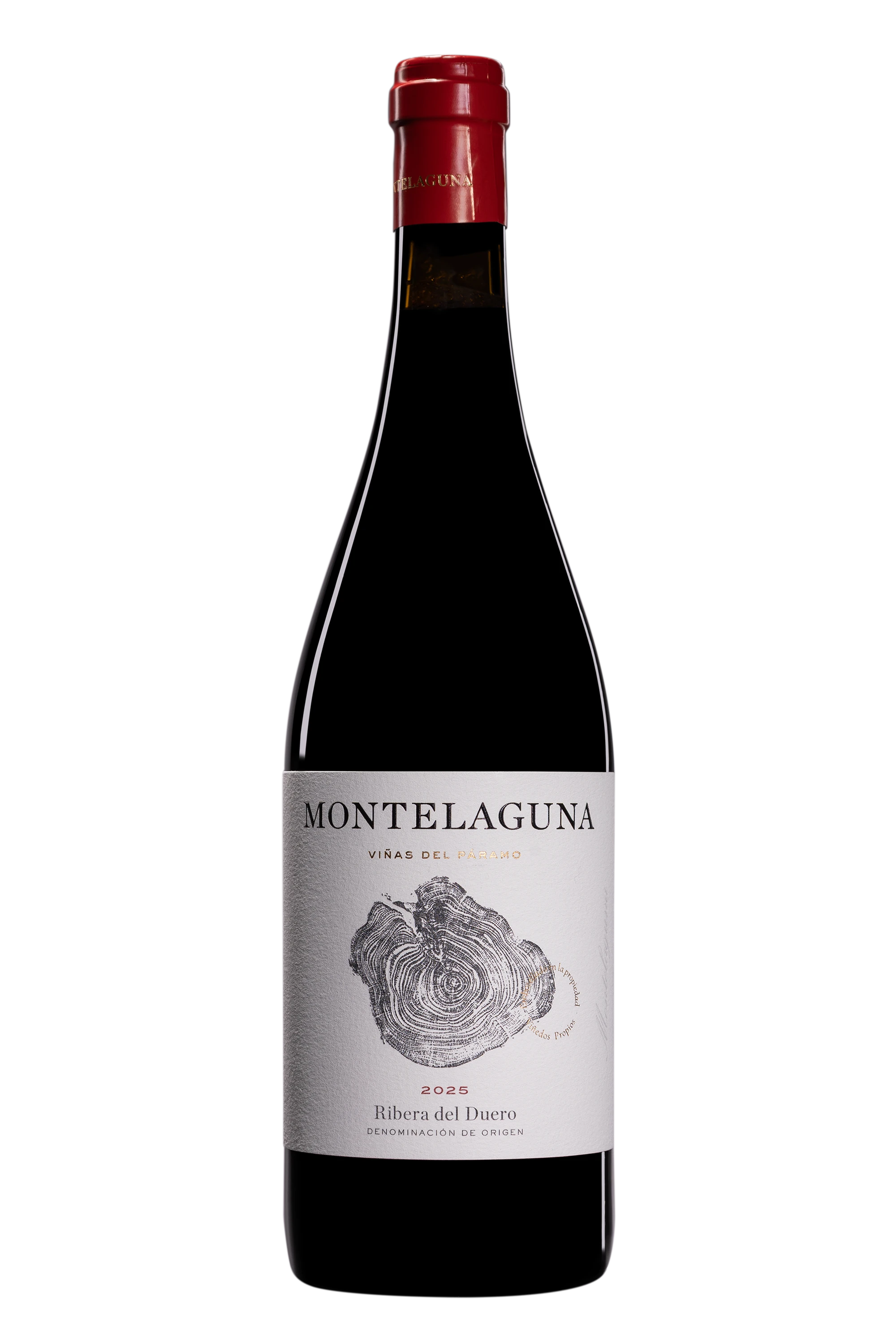 Montelaguna - Ribera del Duero "Vinas Del Paramo" Rouge 2025, 75cl