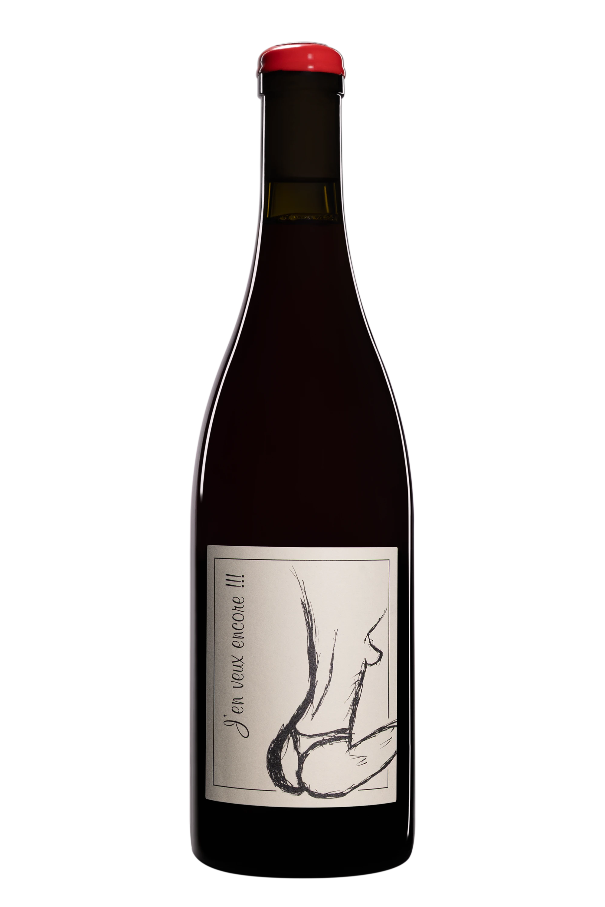 Maison Anne et Jean-François Ganevat - Vin de France "J'en veux encore" Rouge 2024 12°, 75cl