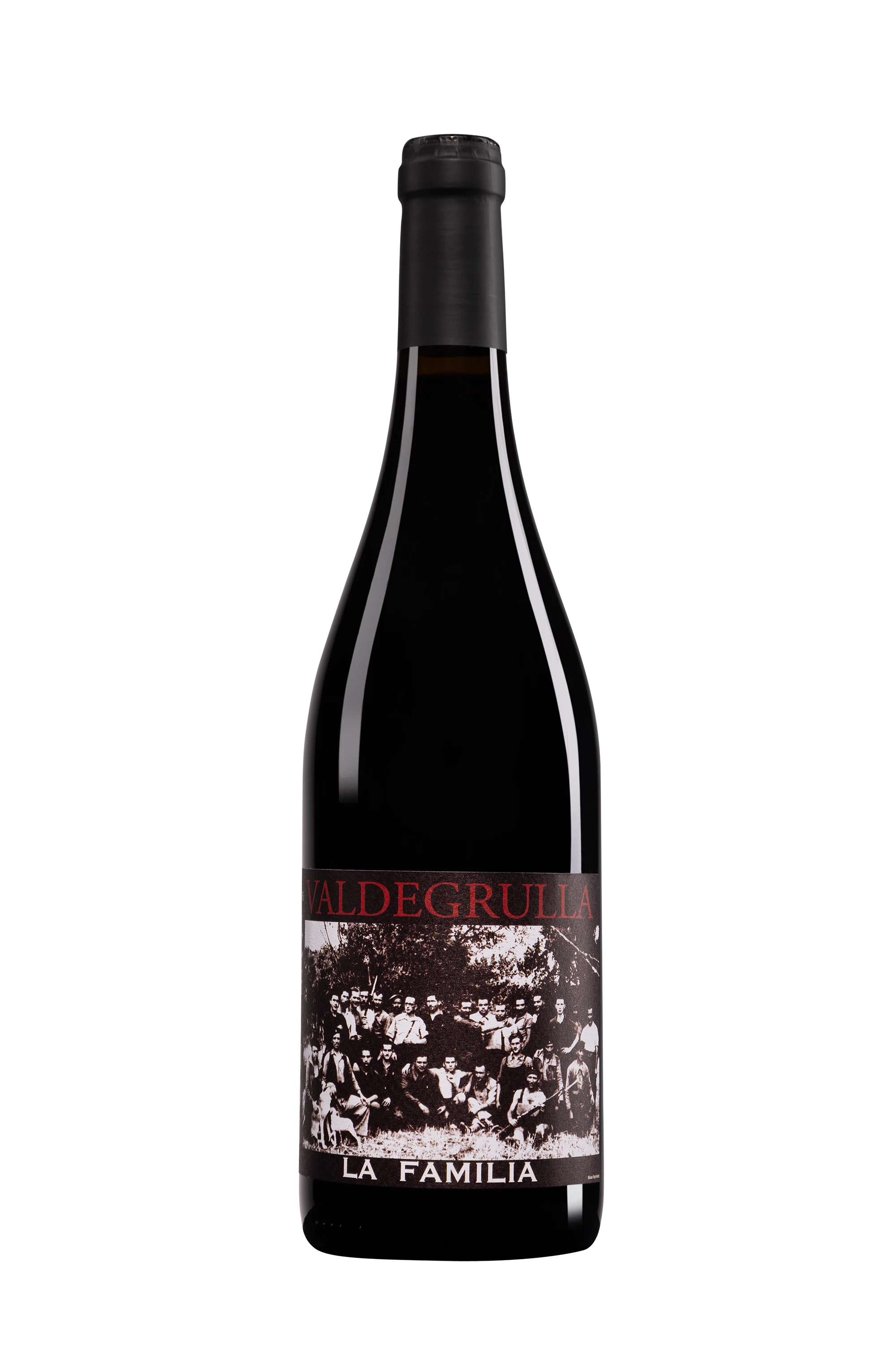 Domaine de l'R - Chinon "Valdegrulla La Familia" Rouge 2016, 75cl