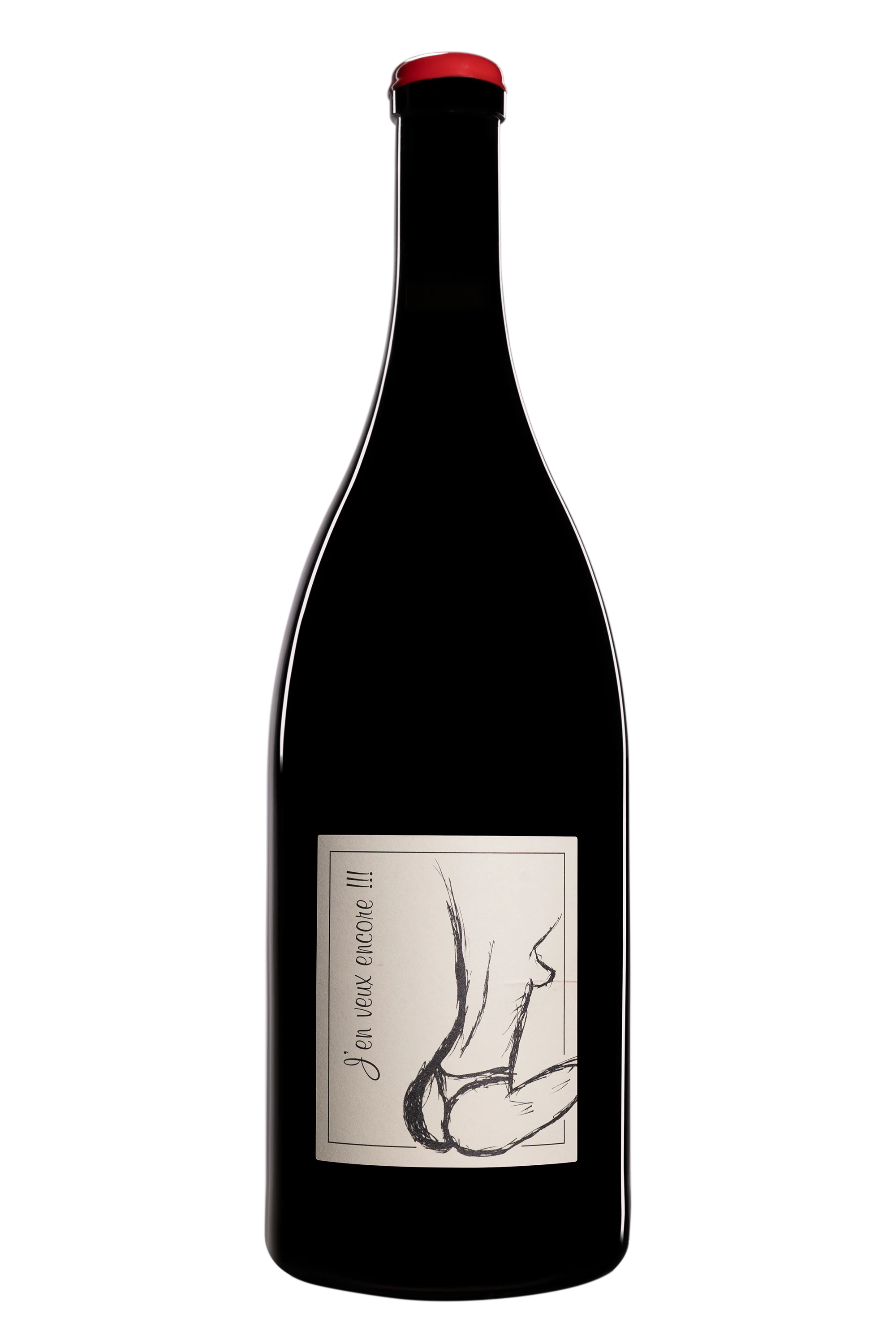 Maison Anne et Jean-François Ganevat - Vin de France "J'en veux encore" Rouge 2024 12°, 150cl