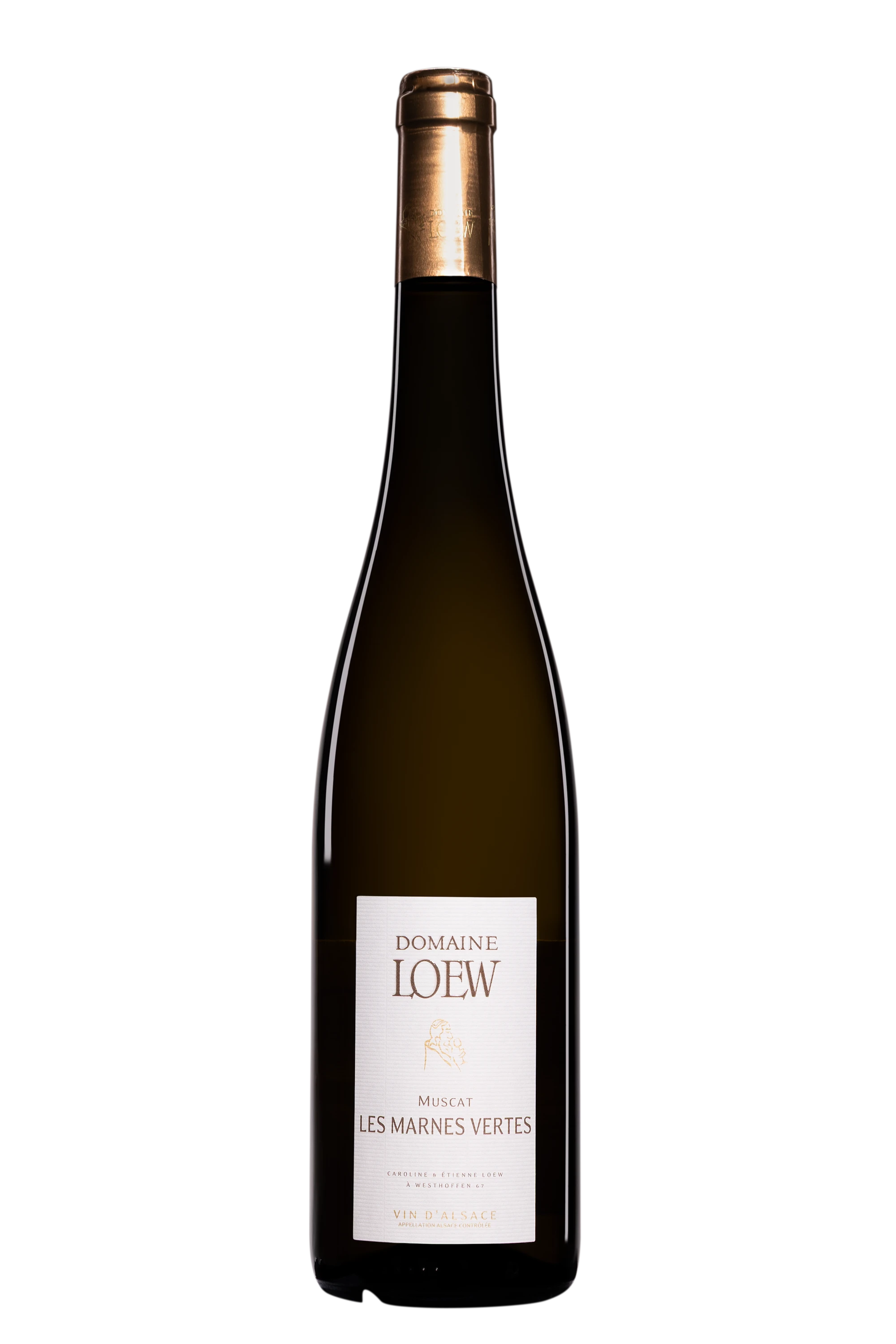 Domaine Etienne Loew - Alsace "Muscat - Les Marnes Vertes" Blanc 2023 12.5°, 75cl