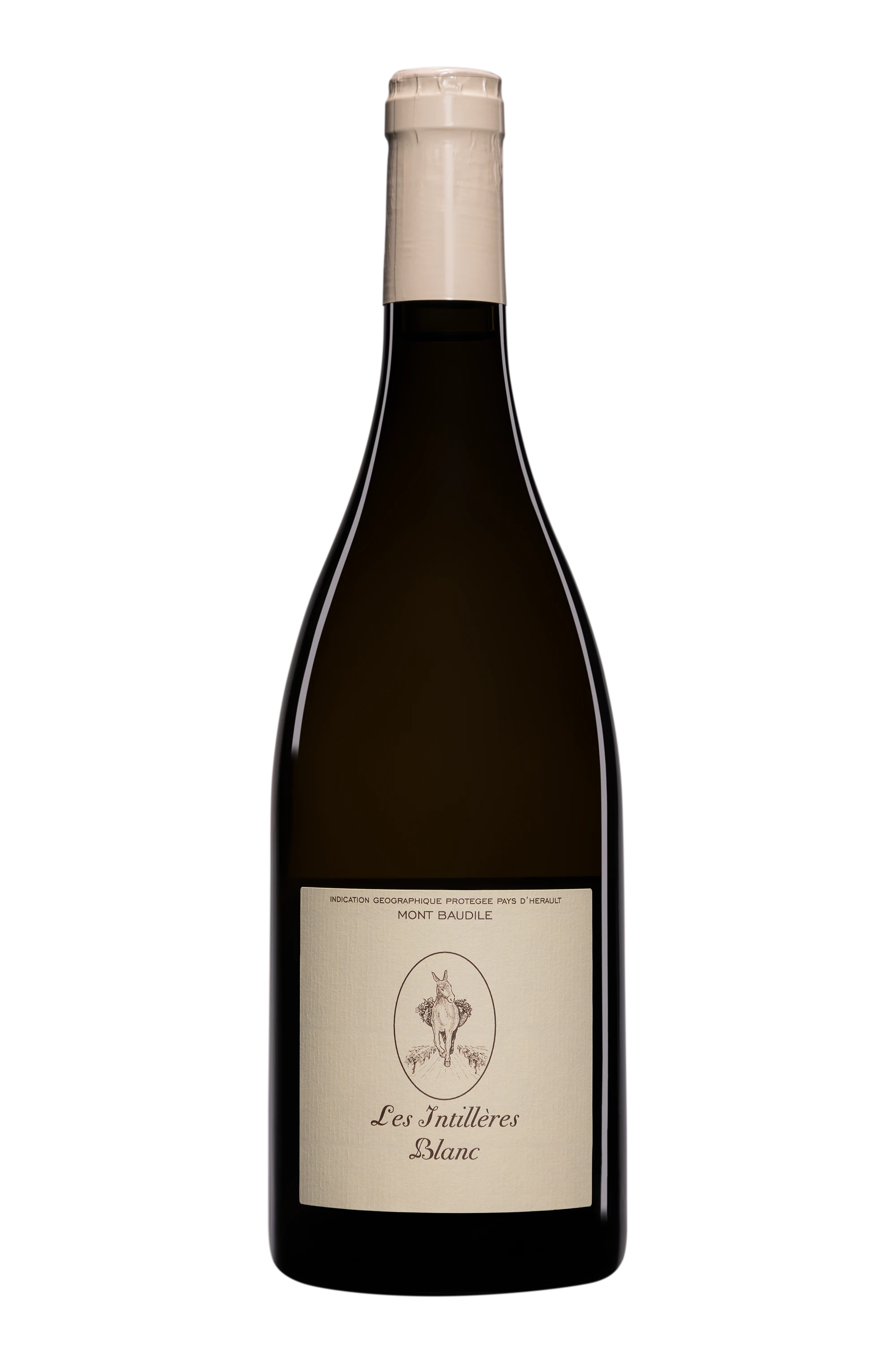 Domaine Supply-Royer - Vin de Pays d'Hérault Mont Baudile "Les Intillères" Blanc 2024 14°, 75cl