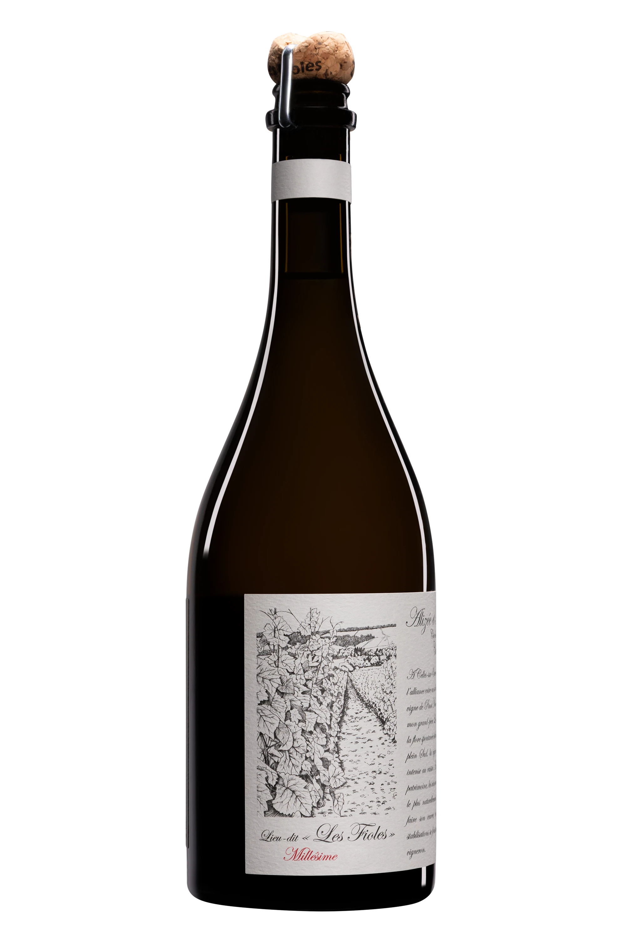 Domaine Alizée et Thibaut Tassin - Champagne Brut Nature Blanc de Noirs Millésimé "Les Fioles" Blanc 2022 Dégorgement 2026 12°, 75cl